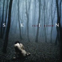 Panic Room - Skin (2012)