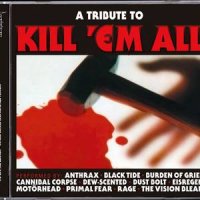 VA - A Tribute To Kill Em All (2013)