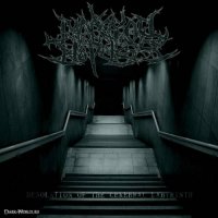 Make You Hopeless - Desolation Of The Cerebral Labyrinth (2013)