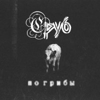 Сруб - По грибы (2013)