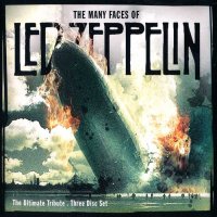 VA - The Many Faces Of Led Zeppelin - The Ultimate Tribute (2007)