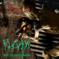 Fugax - Bury The Hatchet Wound (2012)