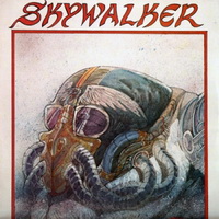 Skywalker - High Flyer (1982)