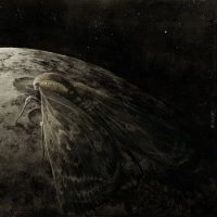 Augrimmer - Moth And The Moon (2016)
