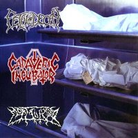 Cadaveric Incubator & Fetal Decay & Mortalized - Amputation Inside (Split) (2005)