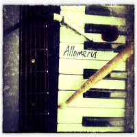 Allomerus - Allomerus (2012)