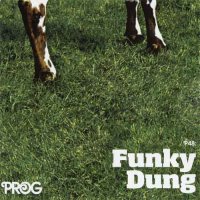 VA - PROG P48: Funky Dung (2016)