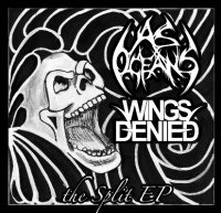 As Oceans & Wings Denied - As Oceans Wings Denied [split] (2013)