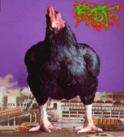 Rot Of - Cocks Attack (2012)