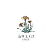 Into The Wild - Dandelions (2017)