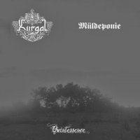 Kurgal / Müldeponie - Quintessence (Split) (2012)