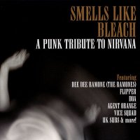 VA - Smells Like Bleach : A Punk Tribute to Nirvana (2001)