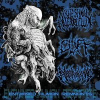 Intestinal Alien Reflux & Cuff & Aborning - Entwined Human Remnants [Split] (2014)