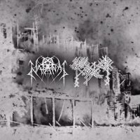 Natanas- Nocturnal Toxin & Carnage - Natanas - Z . E . O . X . (Split) (2015)