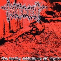 Torture Incident - The Deadly Efficient Of Napalm (2001)