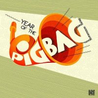 Pigbag - Year Of The Pigbag (2013)