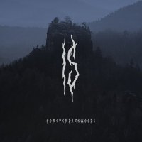 Is - Foreverdark Woods (2014)