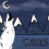 Caves - Collection (2011)