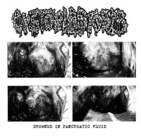 Cystoblastosis - Drowned In Pancreatic Fluid (Demo) (2015)