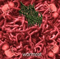 Drain Of Impurity - Wormrot (2012)