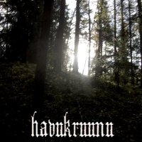 Havukruunu - Metsänpeitto (2013)