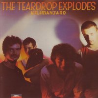 The Teardrop Explodes - Kilimanjaro [2000 Re-Issued] (1980)