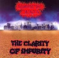 Summertime Daisies - The Clarity Of Impurity (1996)