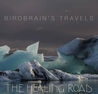 The Healing Road - Birdbrain\'s Travels (2014)