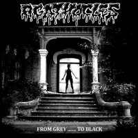 Agathocles - From Grey... To Black (EP) (2013)