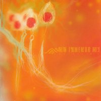 Non Immemor Mei - antibioTHic (2009)  Lossless