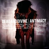 Dead And Divine - Antimacy (2011)