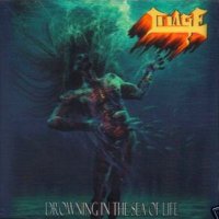 Image - Drowning In The Sea Of Life (2003)