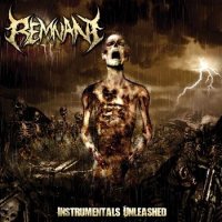 Remnant - Instrumentals Unleashed (2012)