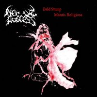 Nerve Abscess - Bald Stump Mantis Religiosa (2011)