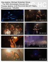 The Michael Schenker Group - The 30th Anniversary Concert: Live in Tokyo (DVDRip) (2010)