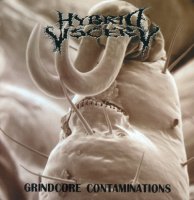 Hybrid Viscery - Grindcore Contaminations (2005)