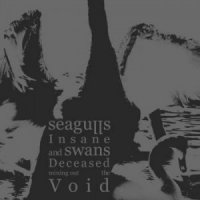 Seagulls Insane And Swans Deceased Mining Out The Void - Seagulls Insane And Swans Deceased Mining Out The Void (2011)