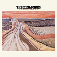 The Deslondes - Hurry Home (2017)