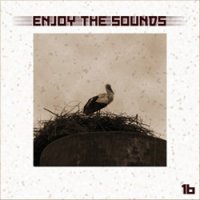 VA - Enjoy The Sounds 16 (2012)