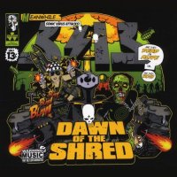 Three Thirteen - Dawn Of The Shred (2016)