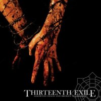 Thirteenth Exile - Assorted Chaos And Broken Machinery (2005)