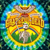 Grateful Dead - Sunshine Daydream (2013)