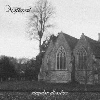 Nattergal - Singular Disasters (2012)