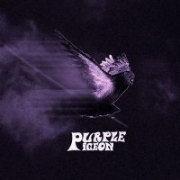 Purple Pigeon - Purple Pigeon (2015)