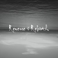 Thecharmpark - Reverse & Rebirth (2015)