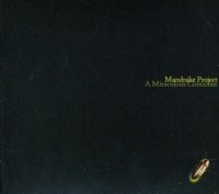 Mandrake Project - A Miraculous Container (2009)