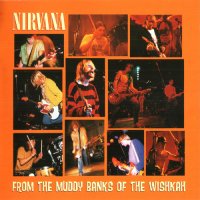 Nirvana - From The Muddy Banks Of The Wishkah (1996)  Lossless