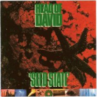 Head of David - Seed State (1991)