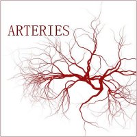 Arteries - Layers (2013)