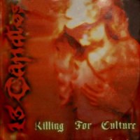 13 Candles - Killing For Culture (2000)